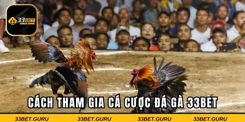 Từng bước tham gia cá cược cho bet thủ